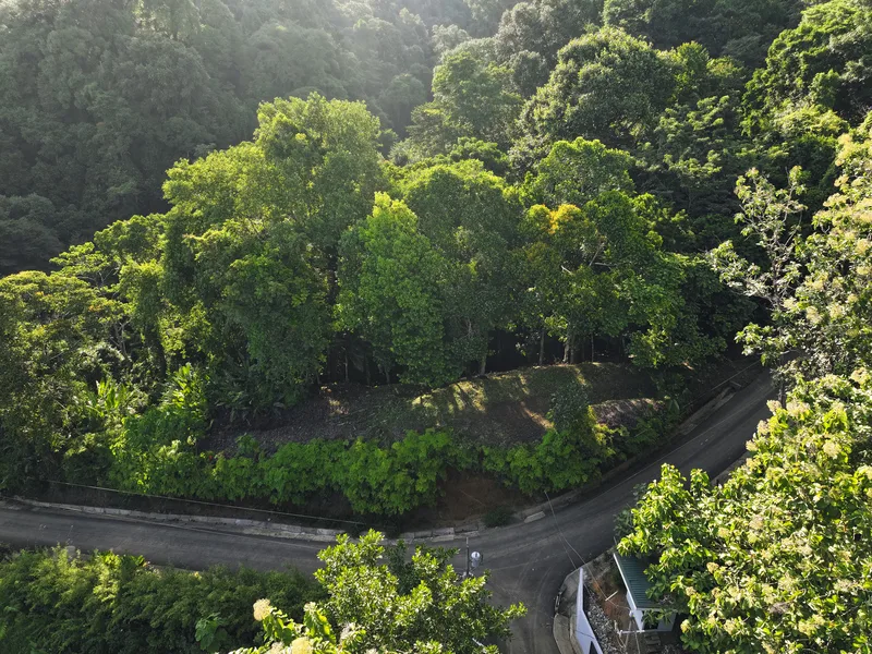 Land For Sale in Dominical, photo 4