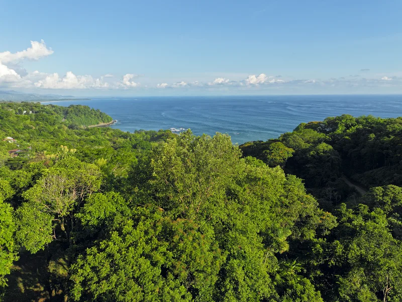Land For Sale in Dominical, photo 5