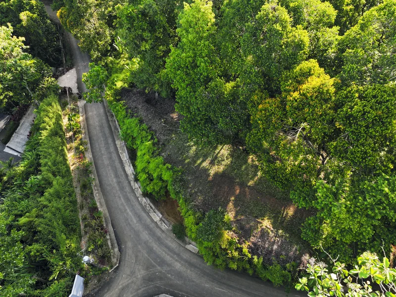 Land For Sale in Dominical, photo 10
