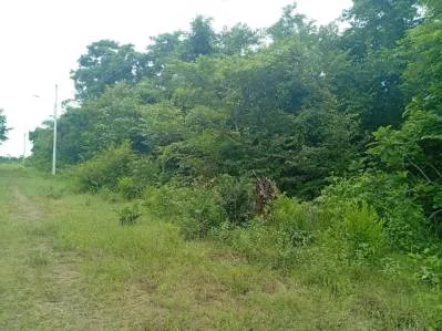 Lote en Eco-Reserva Bajamar | 5.612 m² | ₡25.000.000.
