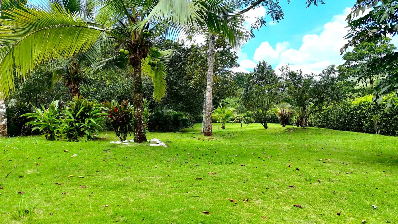 VENTA DE QUINTA DE 4.343 M2 CON FRENTE DE RIO Y SERVICIOS EN CONVENTO, PEREZ ZELEDON - Venta en Pérez Zeledón, photo 3