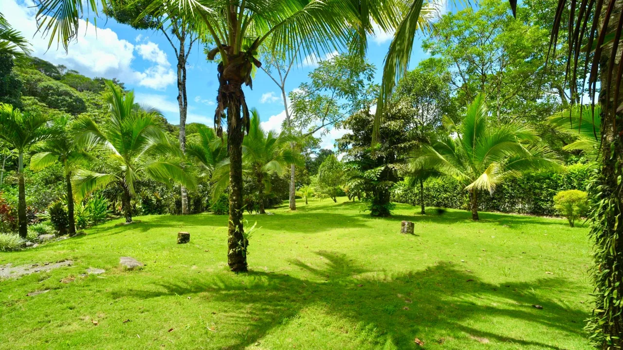 VENTA DE QUINTA DE 4.343 M2 CON FRENTE DE RIO Y SERVICIOS EN CONVENTO, PEREZ ZELEDON - Venta en Pérez Zeledón, photo 4