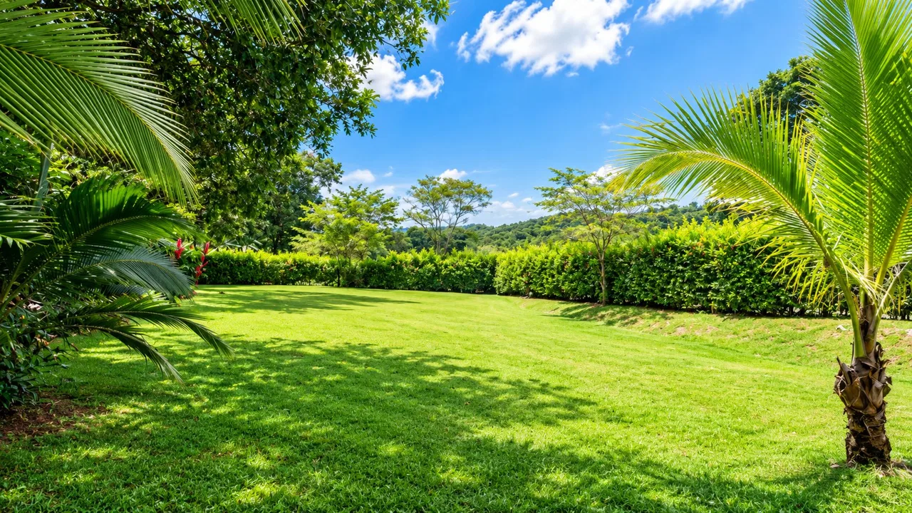 VENTA DE QUINTA DE 4.343 M2 CON FRENTE DE RIO Y SERVICIOS EN CONVENTO, PEREZ ZELEDON - Venta en Pérez Zeledón, photo 6
