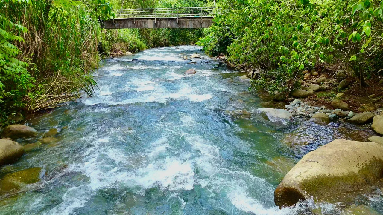 VENTA DE QUINTA DE 4.343 M2 CON FRENTE DE RIO Y SERVICIOS EN CONVENTO, PEREZ ZELEDON - Venta en Pérez Zeledón, photo 9