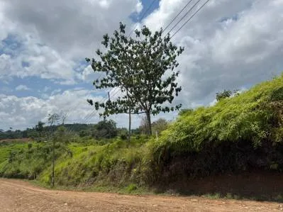 Terreno con vista a la montaña en una codiciada comunidad cerrada, privada y de fácil acceso., photo 2