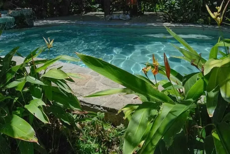 Apartamento Amueblado / Piscina / Vistas / Areas Verdes en San Rafael Escazú, photo 9