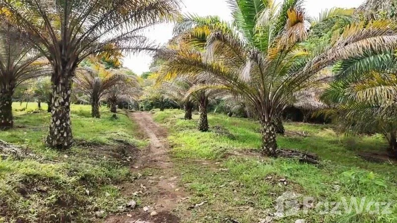 Land for Sale in Perez Zeledon, San Jose for $299,999, photo 6