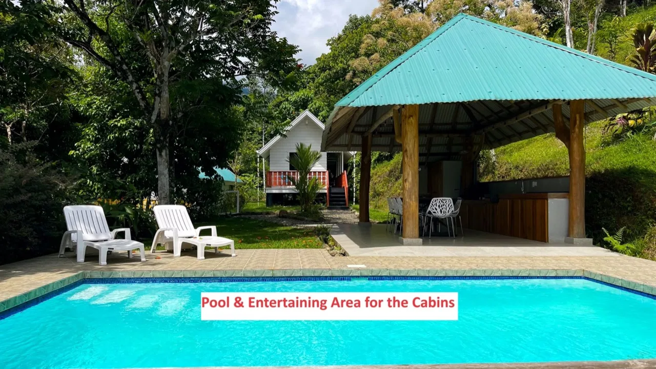 LUXURY PROPERTY WITH TWO CABINS IN OJOCHAL – 3.12 ACRES, photo 6