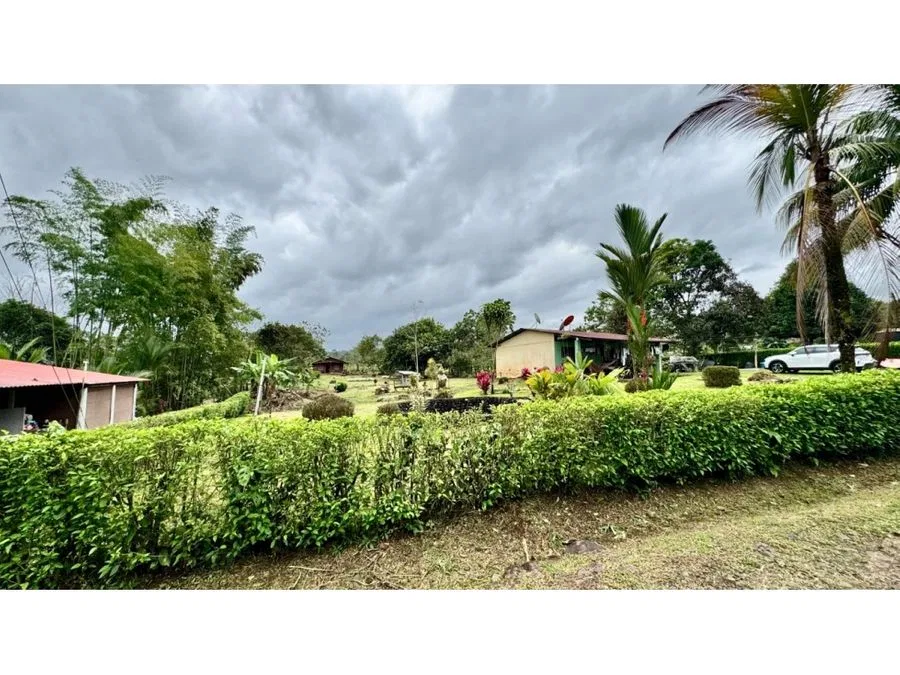 VENTA DE HERMOSA FINCA EN LA TIGRA SAN CARLOS, photo 3