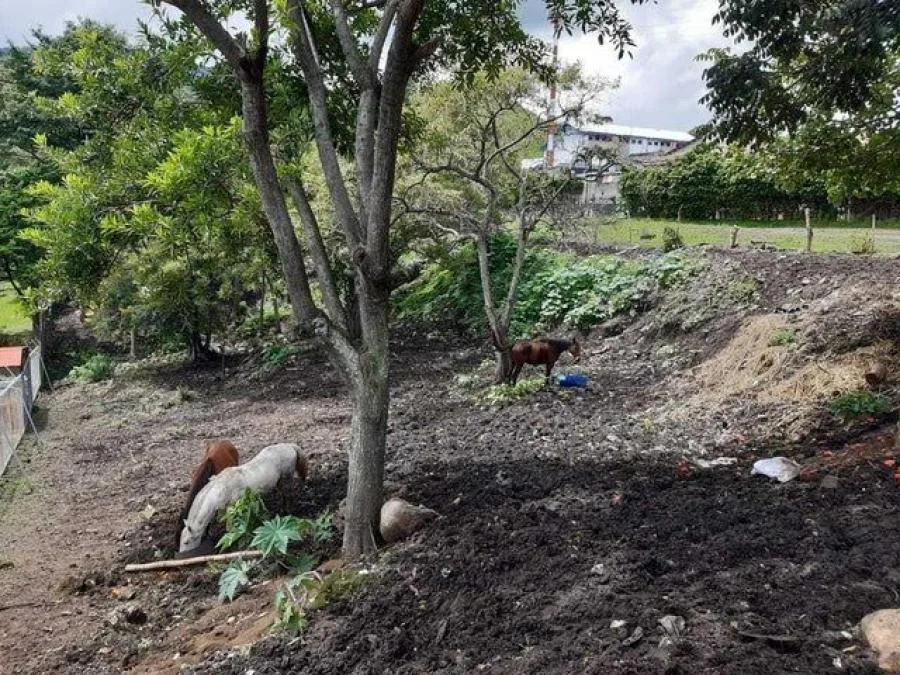 Venta de Lote en San Rafael de Escazú. - Venta en Escazú