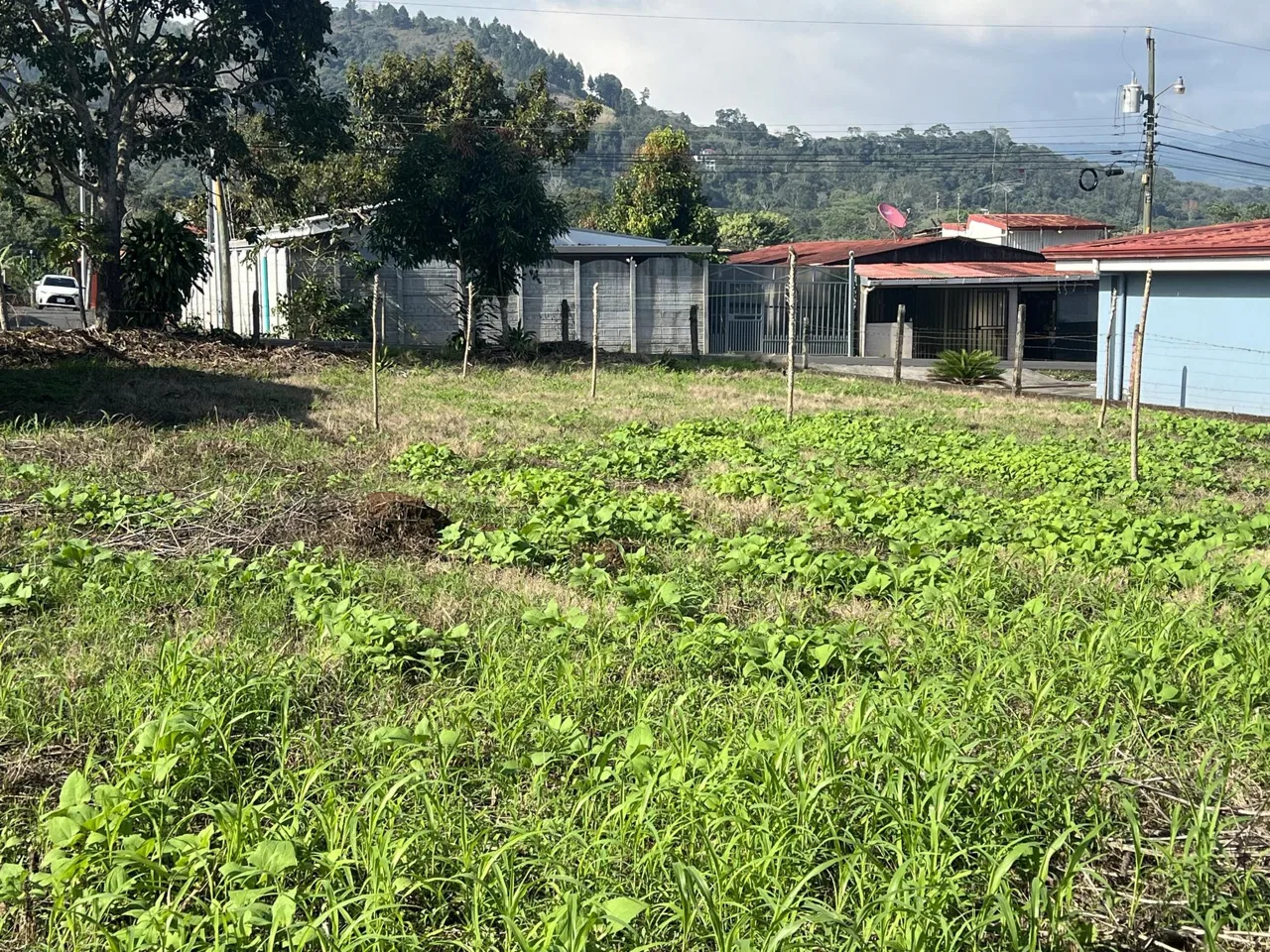 Lote en Venta en San Miguel ,Naranjo, photo 2