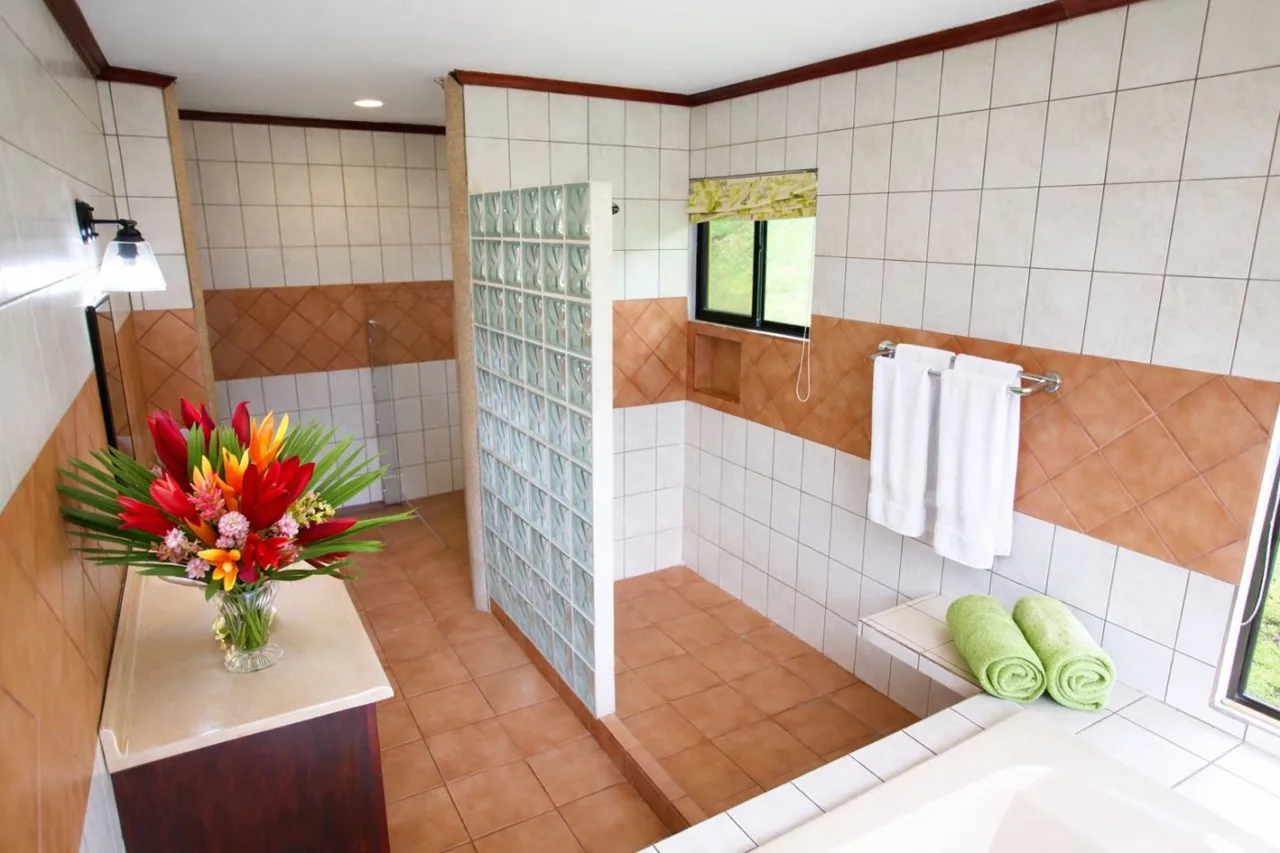 Private Off-Grid-Ready 8.15 Acre Estate with Panoramic Lake Arenal &amp; Volcano Views - Lower Level Apartment, Garage &amp; Workshop, photo 13