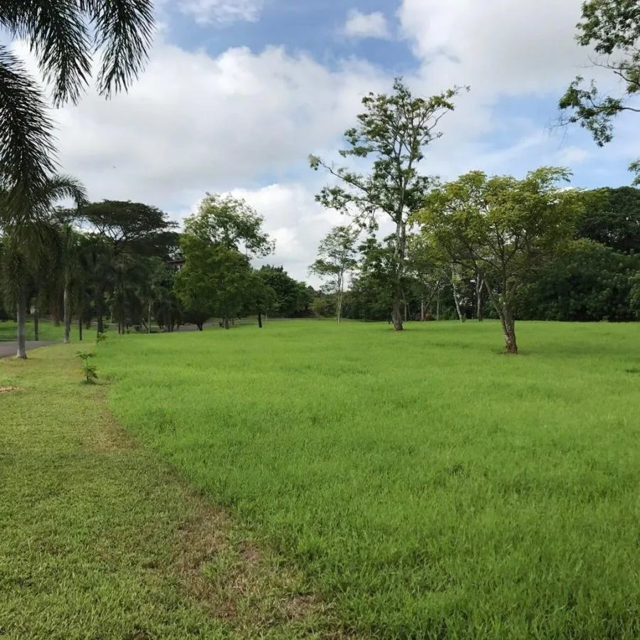 Venta de Lote en Orotina, Alajuela.  - Venta en Orotina
