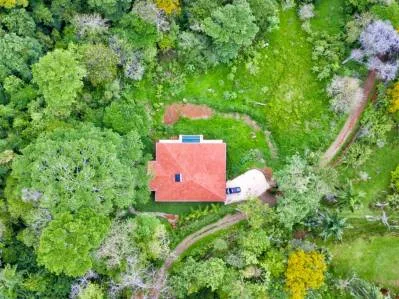 3.2 ACRES – 7 Bedroom Estate – 4 Bedroom Ocean View Home With Pool + 3 Bedroom Guest House, photo 4