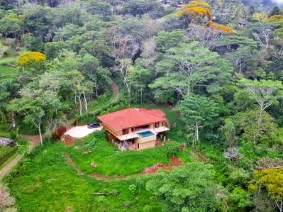 3.2 ACRES – 7 Bedroom Estate – 4 Bedroom Ocean View Home With Pool + 3 Bedroom Guest House, photo 7