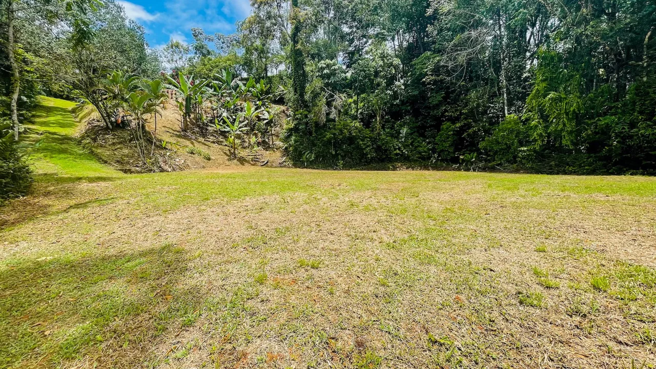 PRIVATE 2.53-ACRE MOUNTAIN RETREAT WITH 2 BUILDING SITES – PLATANILLO, photo 11