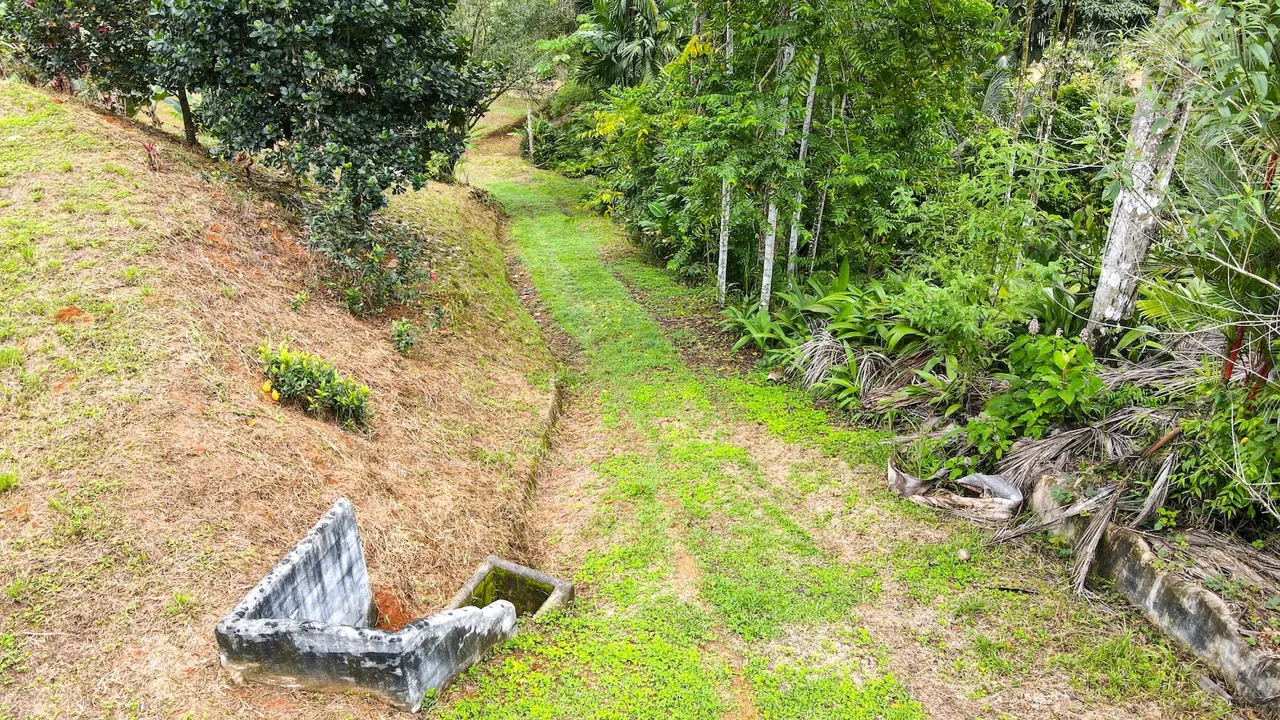 PRIVATE 2.53-ACRE MOUNTAIN RETREAT WITH 2 BUILDING SITES – PLATANILLO, photo 13