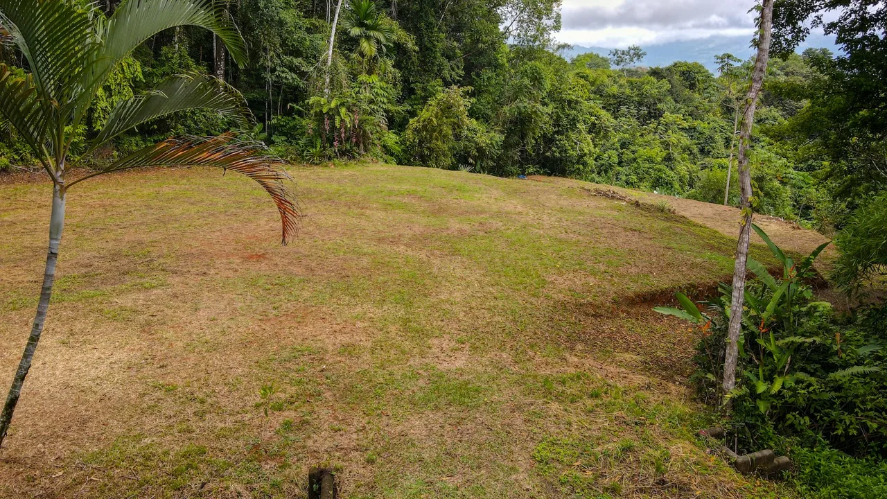PRIVATE 2.53-ACRE MOUNTAIN RETREAT WITH 2 BUILDING SITES – PLATANILLO, photo 14