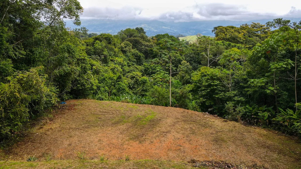 PRIVATE 2.53-ACRE MOUNTAIN RETREAT WITH 2 BUILDING SITES – PLATANILLO, photo 15