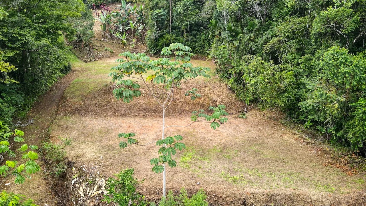 PRIVATE 2.53-ACRE MOUNTAIN RETREAT WITH 2 BUILDING SITES – PLATANILLO, photo 16