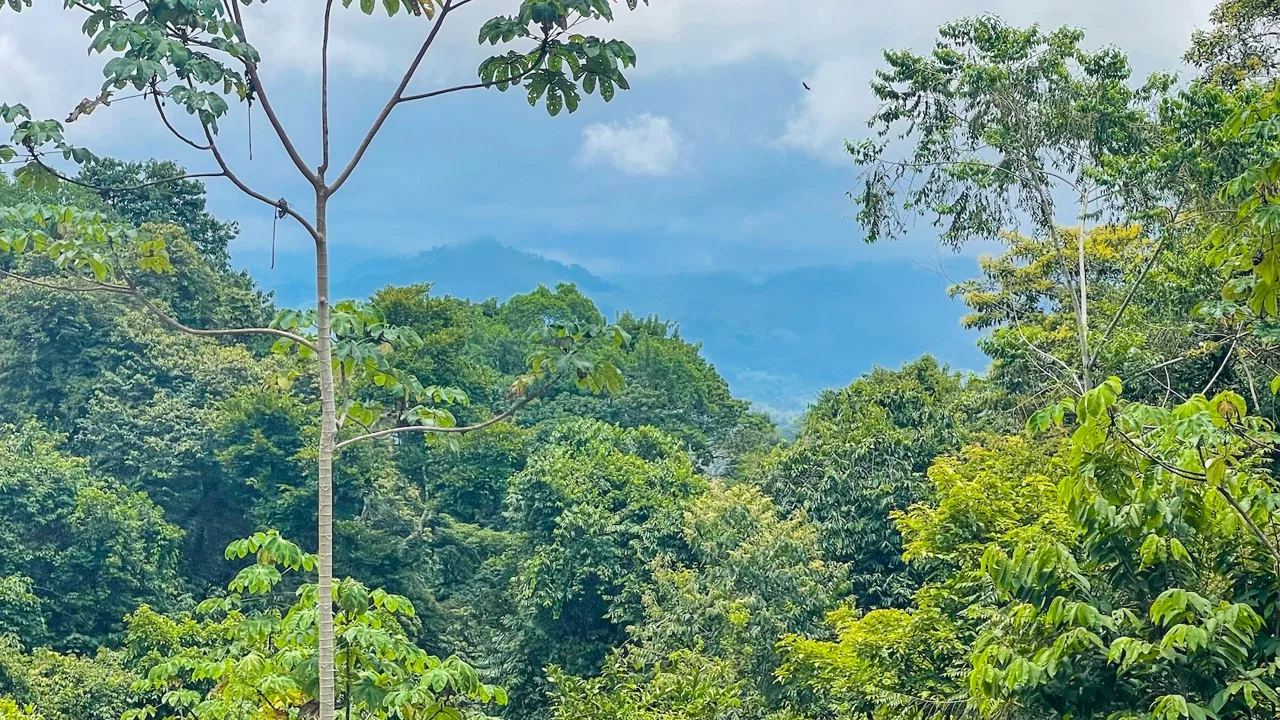 PRIVATE 2.53-ACRE MOUNTAIN RETREAT WITH 2 BUILDING SITES – PLATANILLO, photo 17