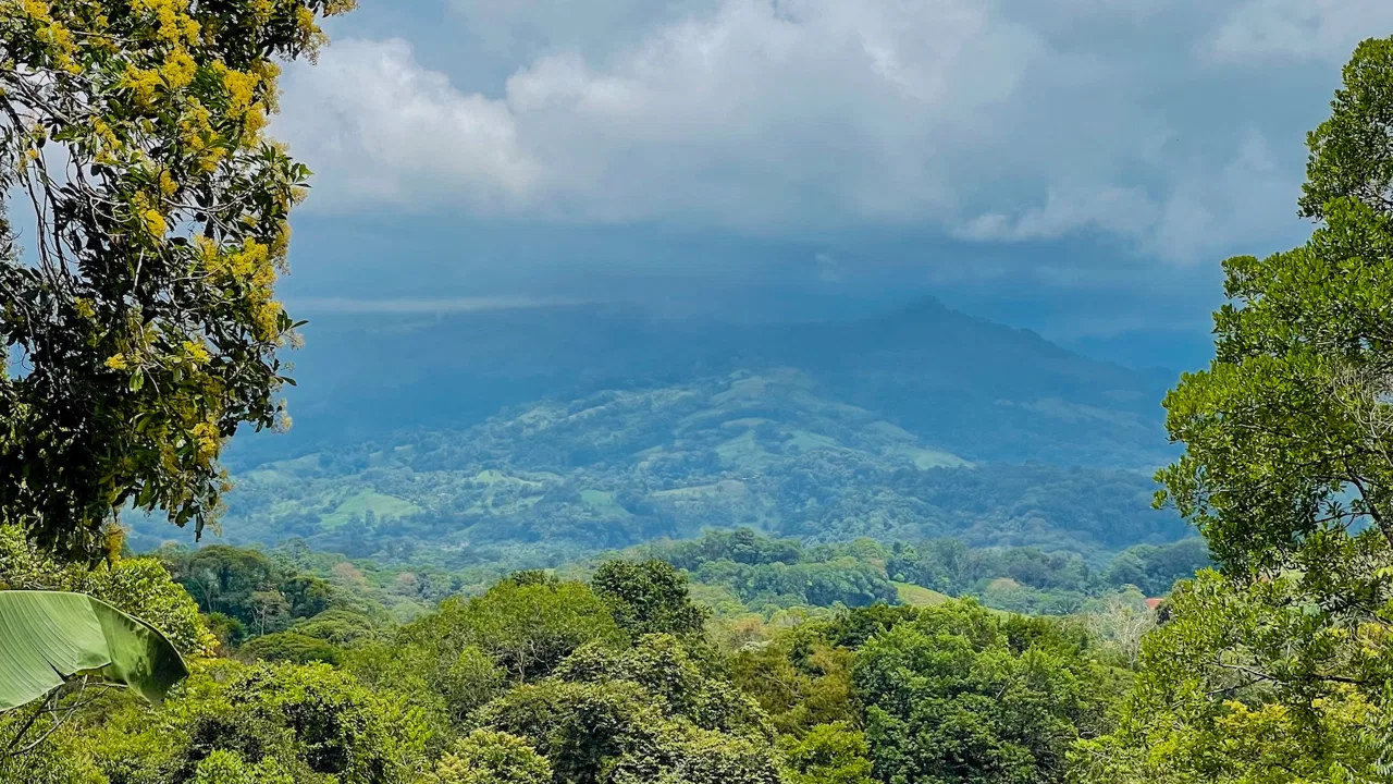 PRIVATE 2.53-ACRE MOUNTAIN RETREAT WITH 2 BUILDING SITES – PLATANILLO, photo 18