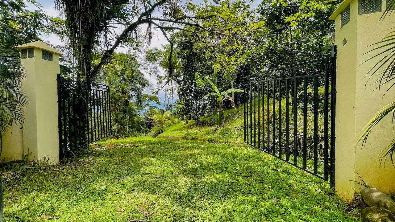 PRIVATE 2.53-ACRE MOUNTAIN RETREAT WITH 2 BUILDING SITES – PLATANILLO, photo 3