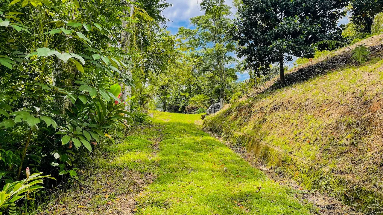 PRIVATE 2.53-ACRE MOUNTAIN RETREAT WITH 2 BUILDING SITES – PLATANILLO, photo 4