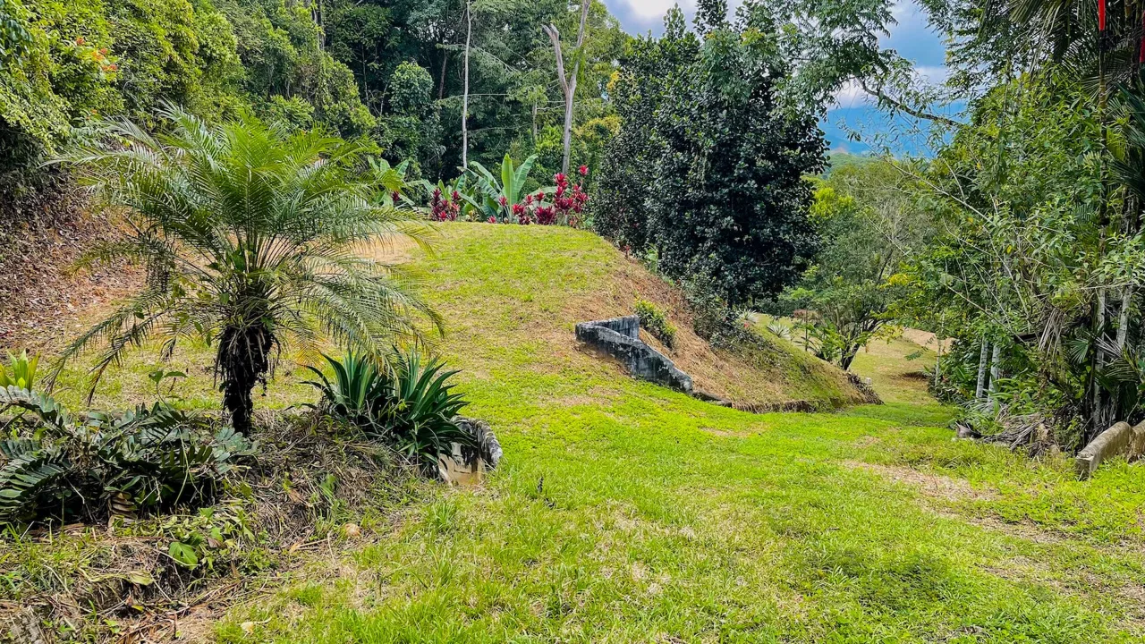PRIVATE 2.53-ACRE MOUNTAIN RETREAT WITH 2 BUILDING SITES – PLATANILLO, photo 5