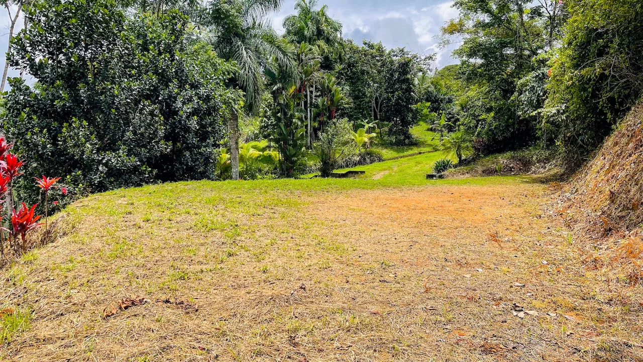 PRIVATE 2.53-ACRE MOUNTAIN RETREAT WITH 2 BUILDING SITES – PLATANILLO, photo 6