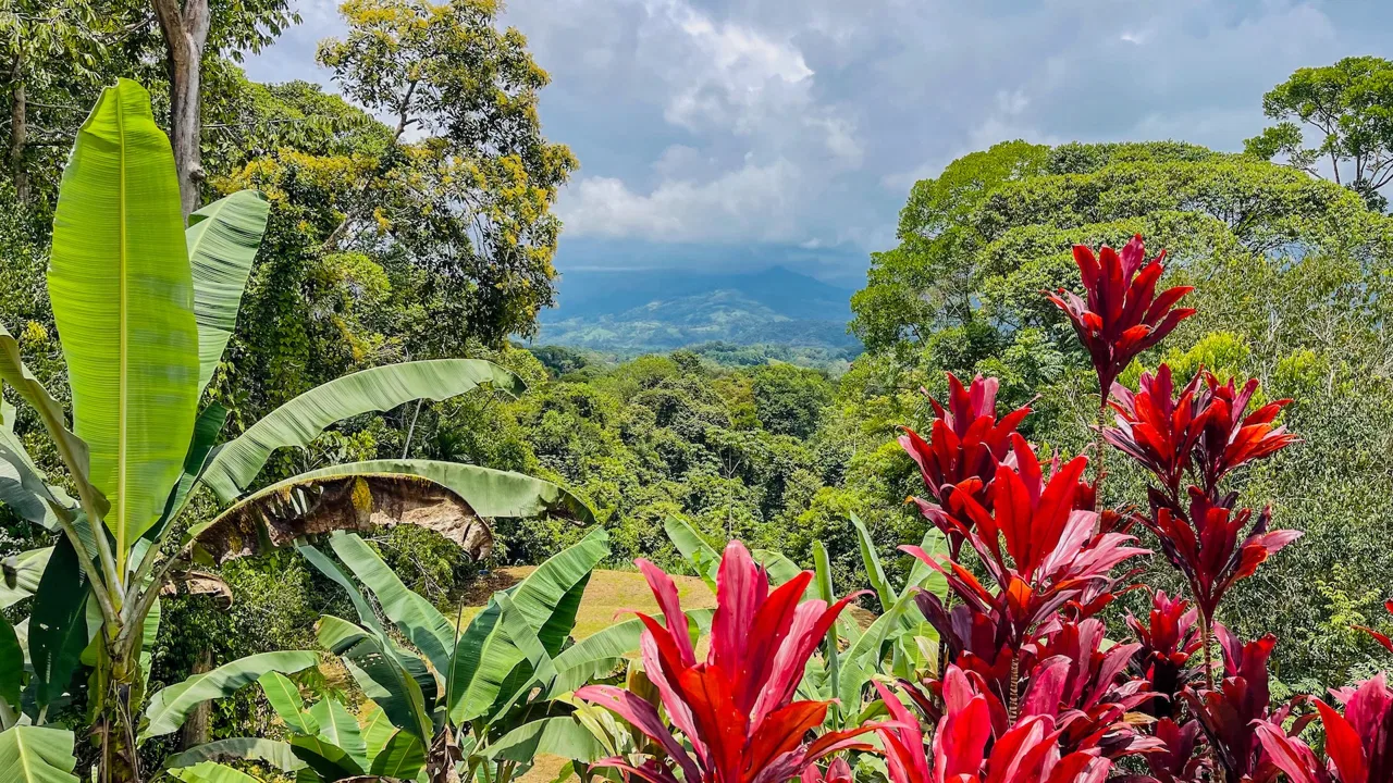 PRIVATE 2.53-ACRE MOUNTAIN RETREAT WITH 2 BUILDING SITES – PLATANILLO, photo 7