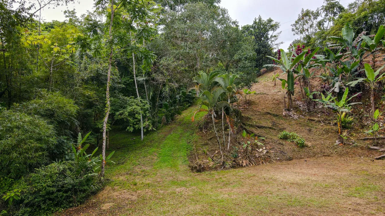 PRIVATE 2.53-ACRE MOUNTAIN RETREAT WITH 2 BUILDING SITES – PLATANILLO, photo 8