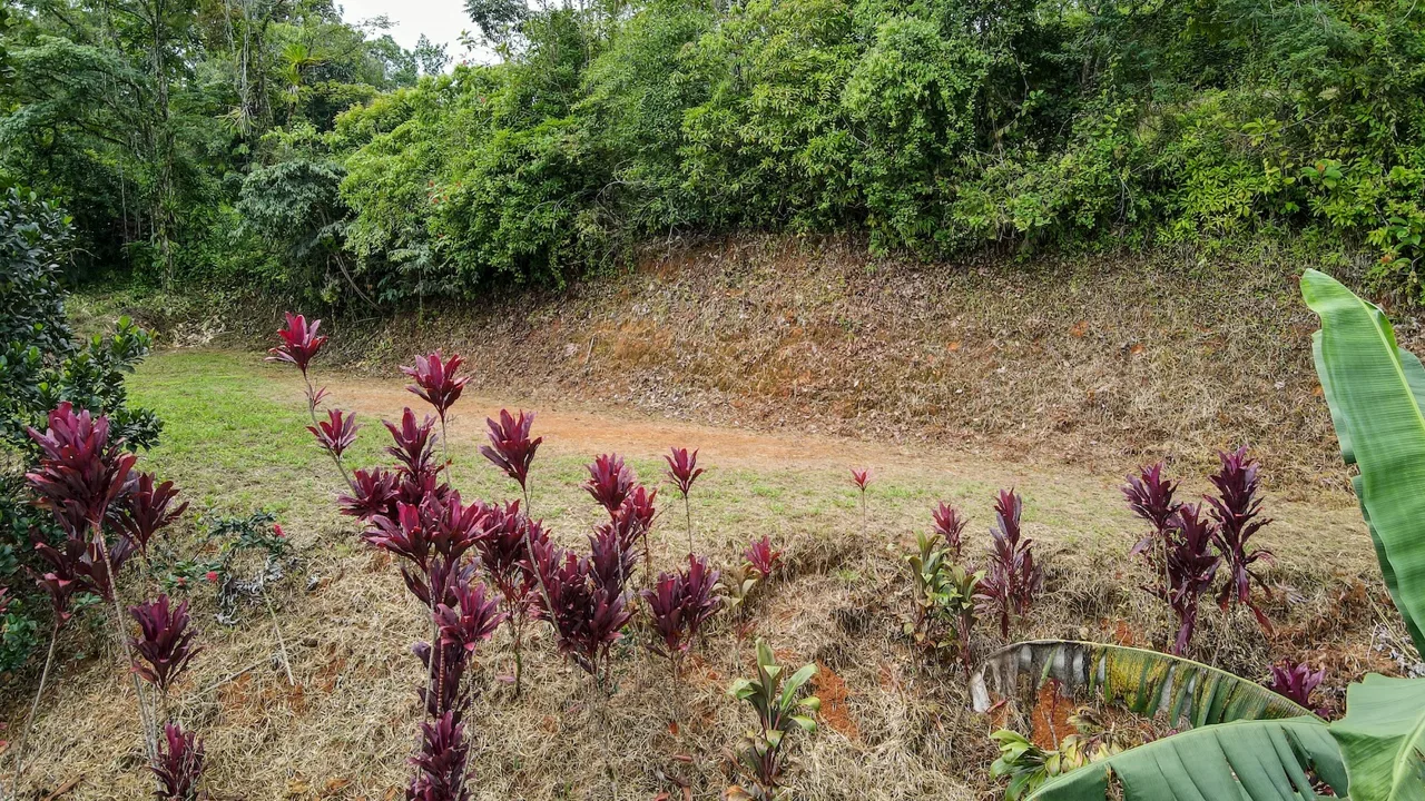 PRIVATE 2.53-ACRE MOUNTAIN RETREAT WITH 2 BUILDING SITES – PLATANILLO, photo 9