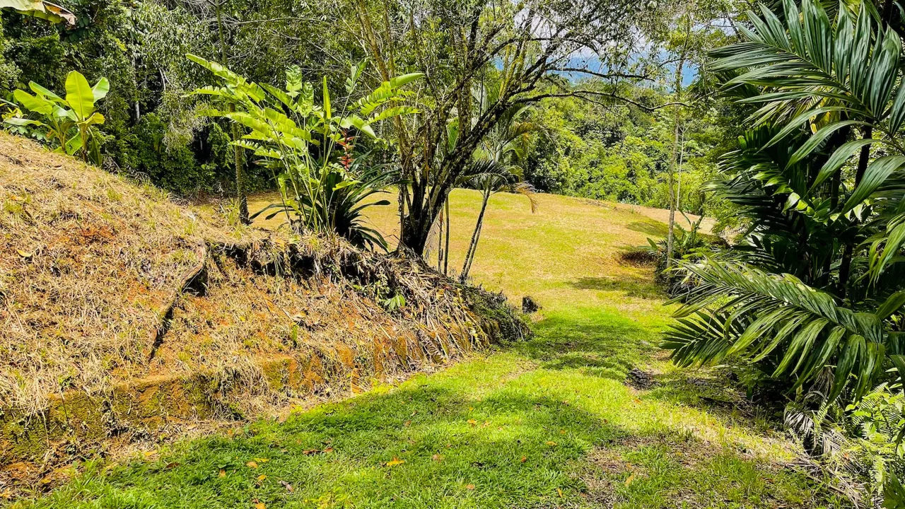 PRIVATE 2.53-ACRE MOUNTAIN RETREAT WITH 2 BUILDING SITES – PLATANILLO, photo 10