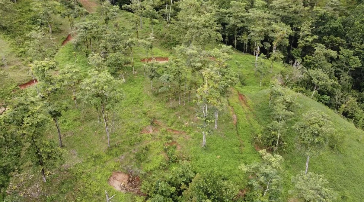 One Hectare in Las Vegas de Costa Rica