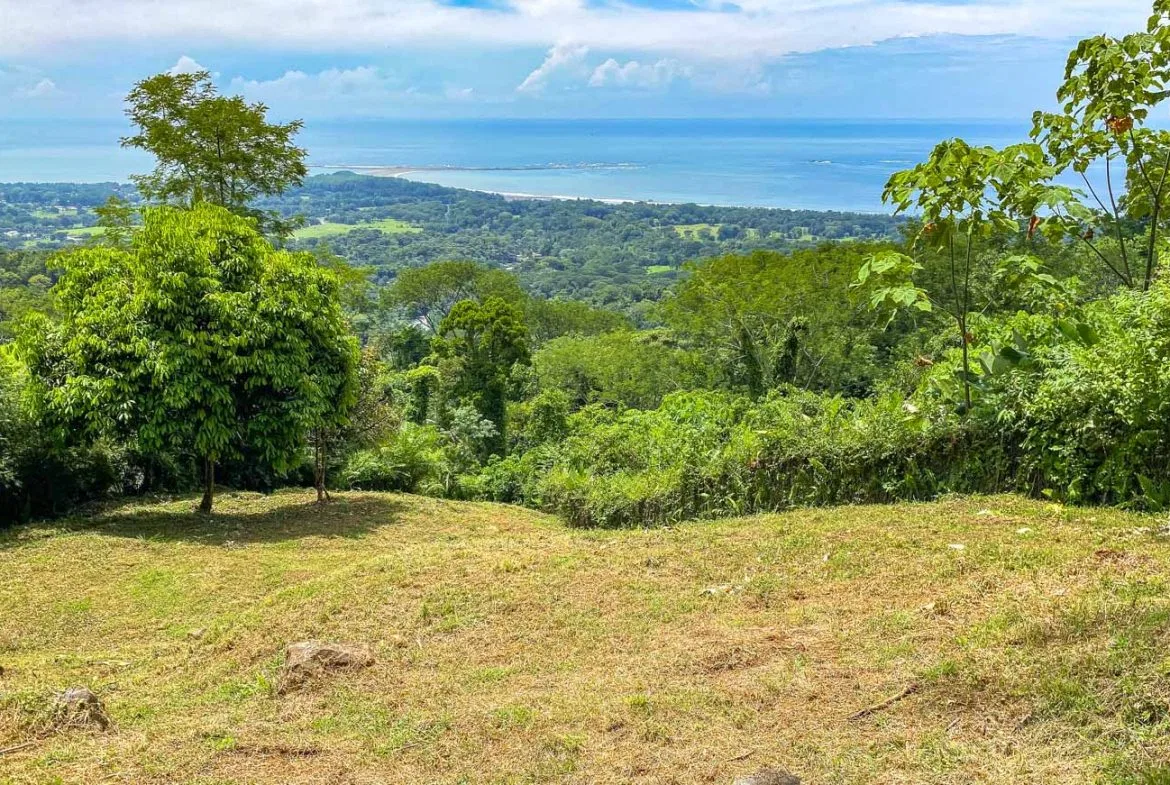 BUILDING PROPERTY WITH PANORAMIC VIEWS OF THE OCEAN AND VALLEY, IN UVITA – 1.4 ACRES, photo 2