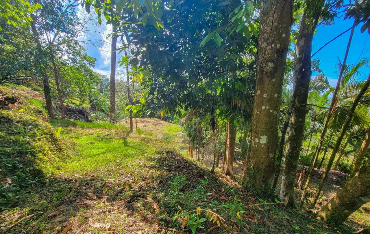 BUILDING PROPERTY WITH PANORAMIC VIEWS OF THE OCEAN AND VALLEY, IN UVITA – 1.4 ACRES, photo 11