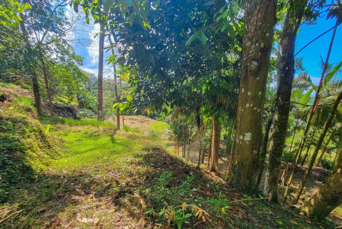 BUILDING PROPERTY WITH PANORAMIC VIEWS OF THE OCEAN AND VALLEY, IN UVITA – 1.4 ACRES, photo 12
