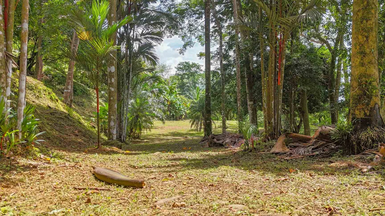 BUILDING PROPERTY WITH PANORAMIC VIEWS OF THE OCEAN AND VALLEY, IN UVITA – 1.4 ACRES, photo 15