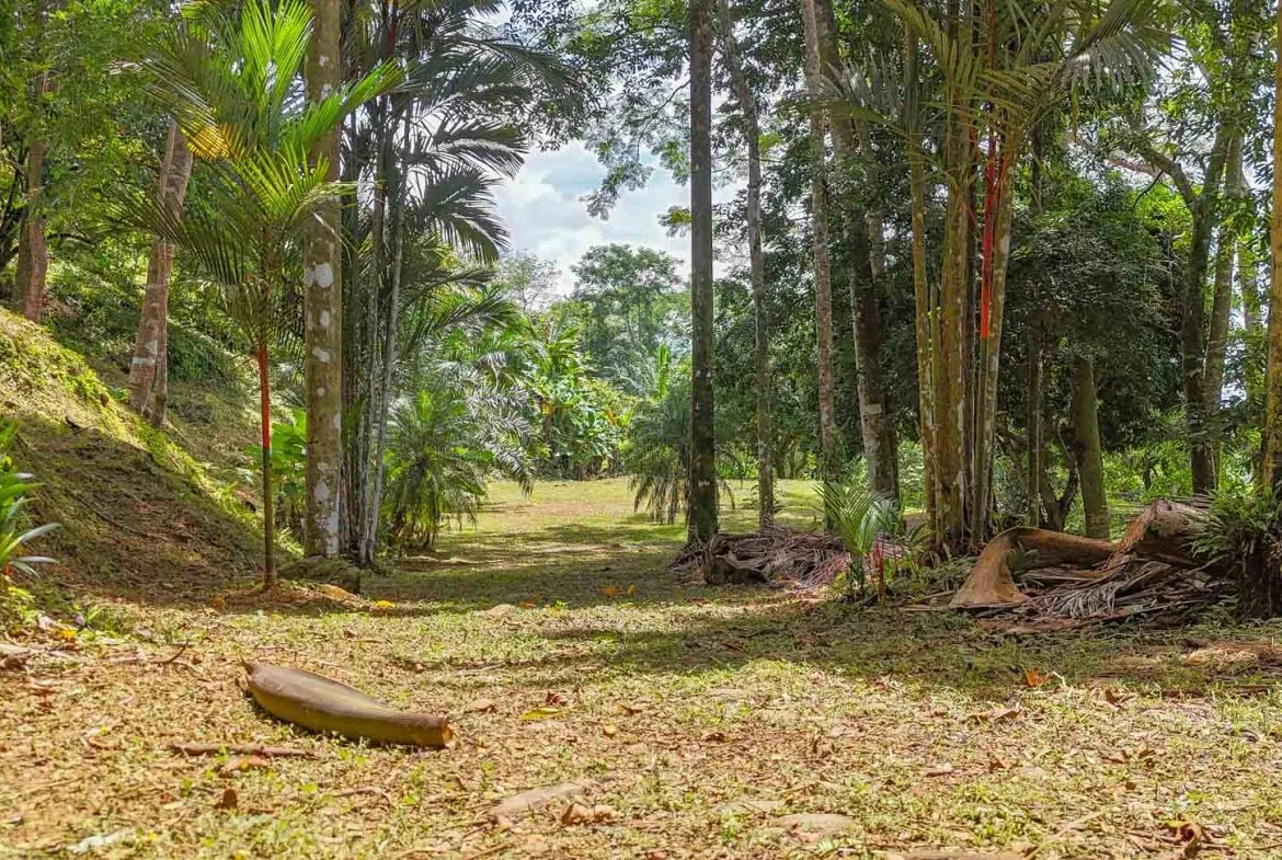 BUILDING PROPERTY WITH PANORAMIC VIEWS OF THE OCEAN AND VALLEY, IN UVITA – 1.4 ACRES, photo 16