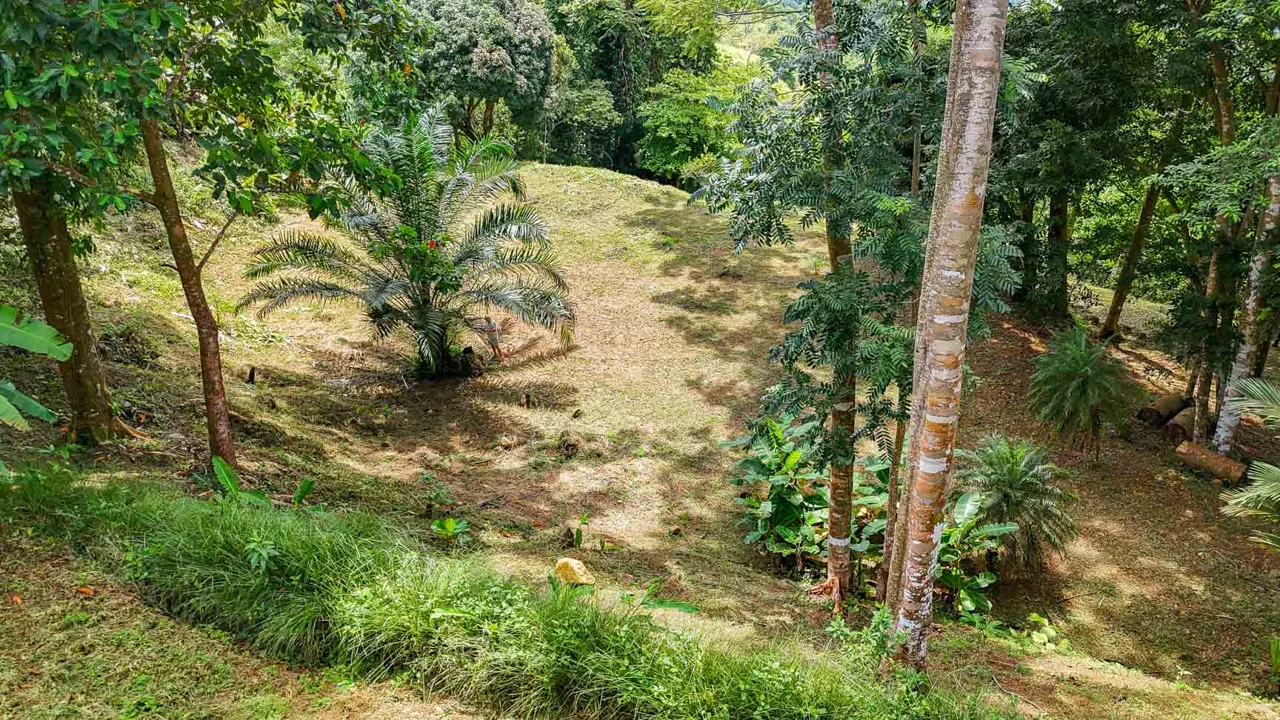 BUILDING PROPERTY WITH PANORAMIC VIEWS OF THE OCEAN AND VALLEY, IN UVITA – 1.4 ACRES, photo 17