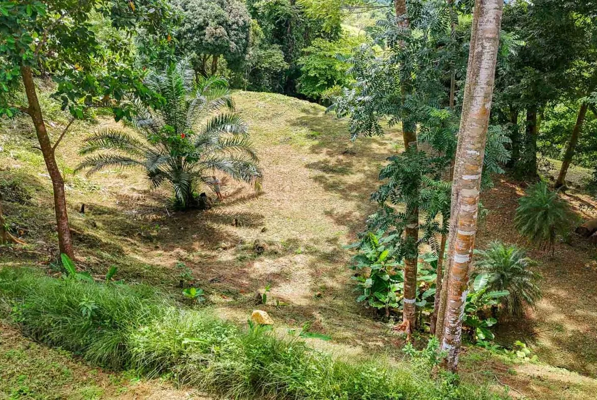 BUILDING PROPERTY WITH PANORAMIC VIEWS OF THE OCEAN AND VALLEY, IN UVITA – 1.4 ACRES, photo 18