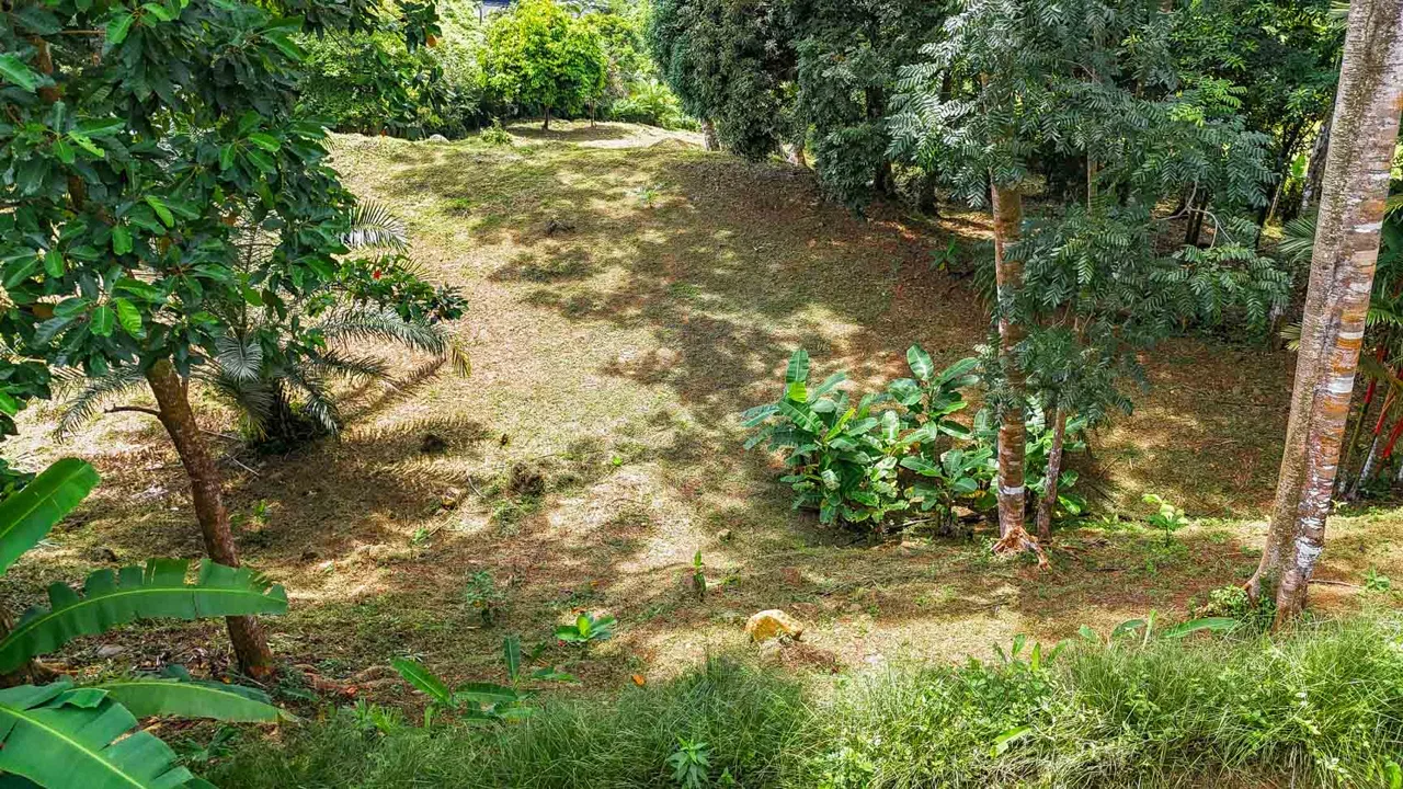 BUILDING PROPERTY WITH PANORAMIC VIEWS OF THE OCEAN AND VALLEY, IN UVITA – 1.4 ACRES, photo 19