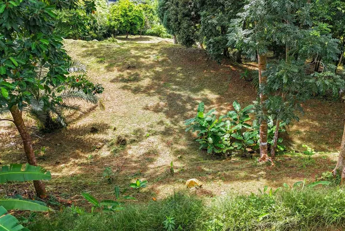 BUILDING PROPERTY WITH PANORAMIC VIEWS OF THE OCEAN AND VALLEY, IN UVITA – 1.4 ACRES, photo 20