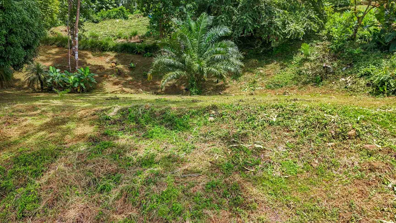 BUILDING PROPERTY WITH PANORAMIC VIEWS OF THE OCEAN AND VALLEY, IN UVITA – 1.4 ACRES, photo 21