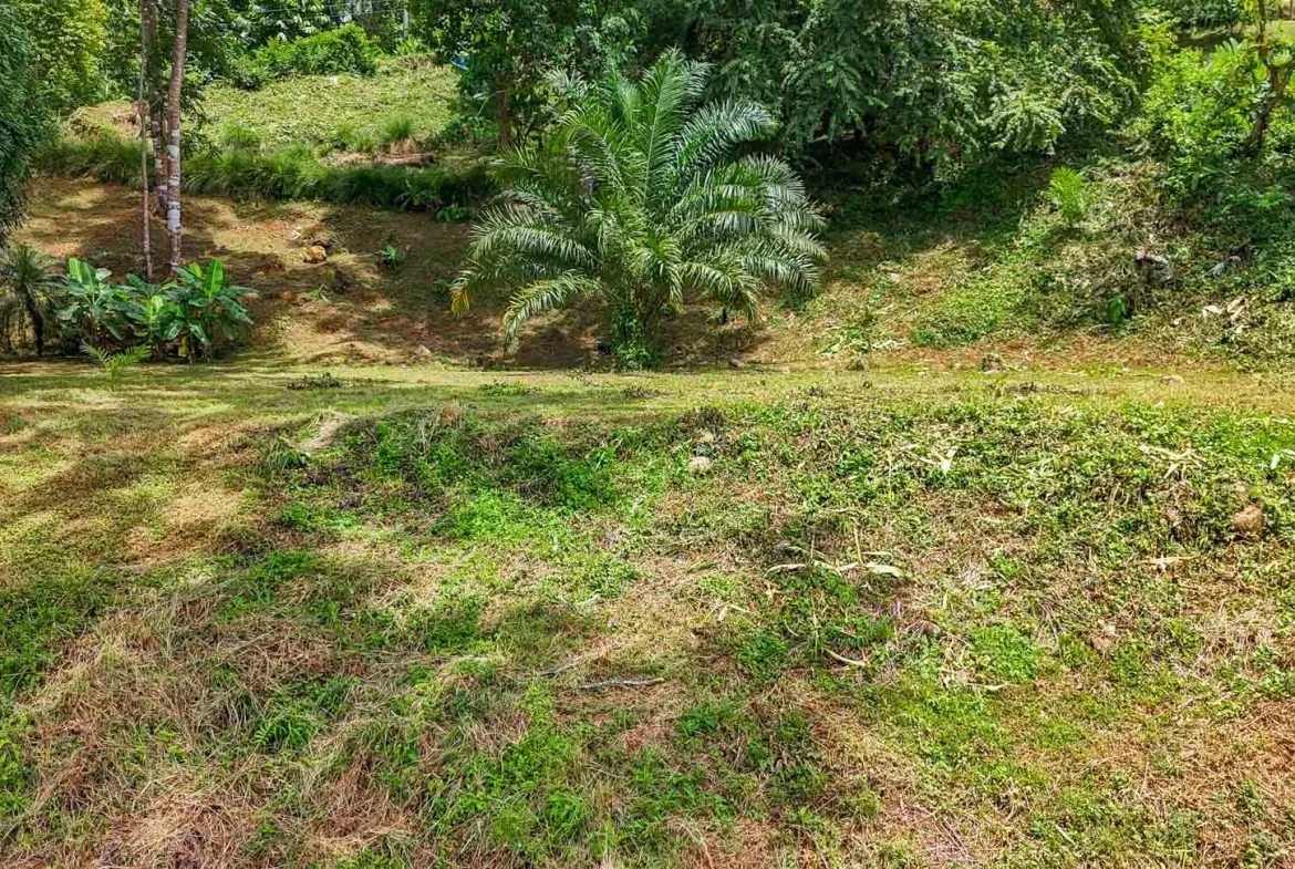 BUILDING PROPERTY WITH PANORAMIC VIEWS OF THE OCEAN AND VALLEY, IN UVITA – 1.4 ACRES, photo 22