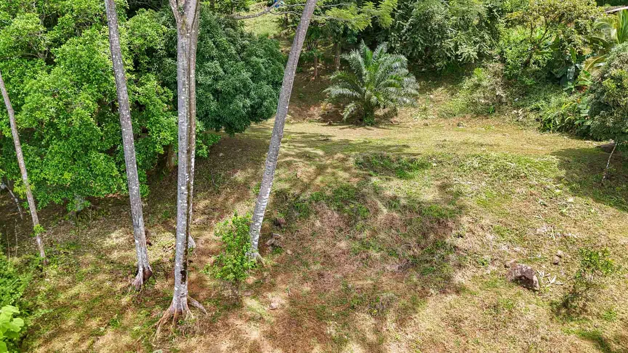 BUILDING PROPERTY WITH PANORAMIC VIEWS OF THE OCEAN AND VALLEY, IN UVITA – 1.4 ACRES, photo 23