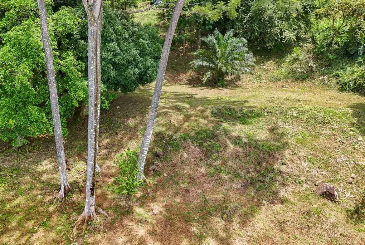 BUILDING PROPERTY WITH PANORAMIC VIEWS OF THE OCEAN AND VALLEY, IN UVITA – 1.4 ACRES, photo 24