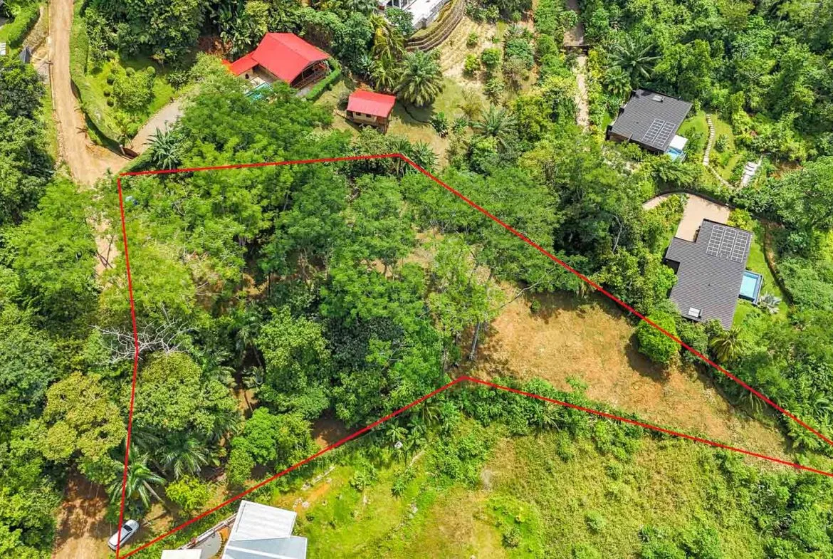 BUILDING PROPERTY WITH PANORAMIC VIEWS OF THE OCEAN AND VALLEY, IN UVITA – 1.4 ACRES, photo 6