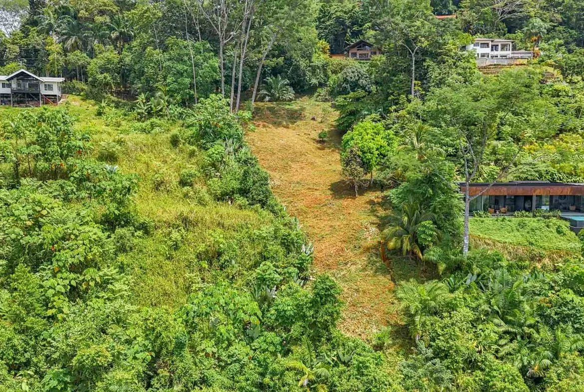 BUILDING PROPERTY WITH PANORAMIC VIEWS OF THE OCEAN AND VALLEY, IN UVITA – 1.4 ACRES, photo 8